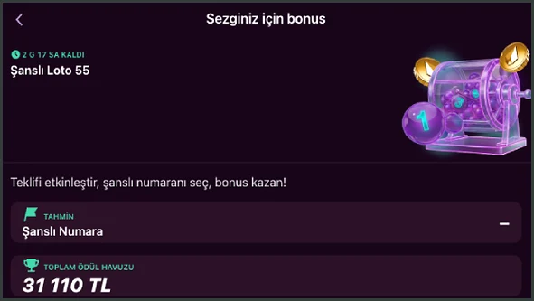 Loto ödül havuzu Sezginiz için bonus ekranında Şanslı Loto 55 çekilişi, Şanslı Numara tahmin alanı ve 31 110 TL toplam ödül havuzu görünüyor.