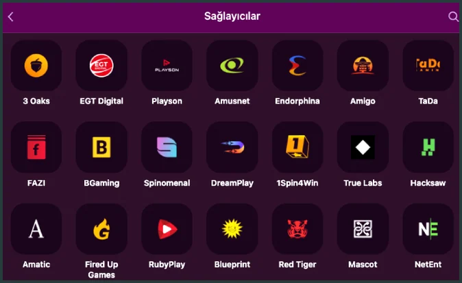 Sağlayıcı logoları Sağlayıcılar ekranında 3 Oaks, EGT Digital, Playson ve Amusnet dahil stüdyo logoları ızgara düzeninde dizilmiş.